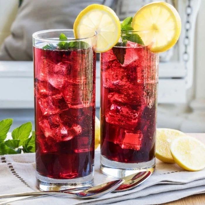 Hibiscus İced Tea