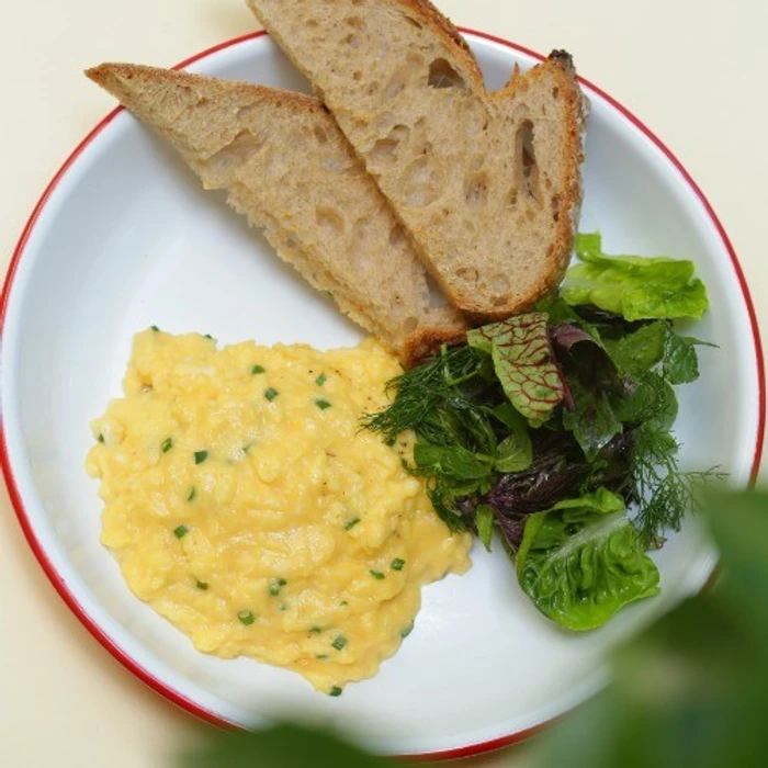 Çırpılmış Yumurta