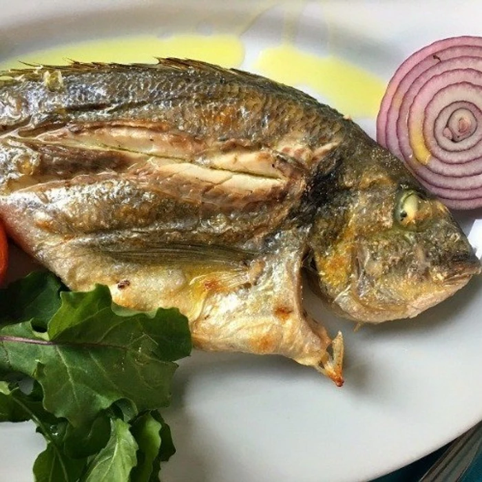 Fish - Çipura