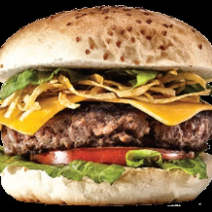 Cheese Burger
