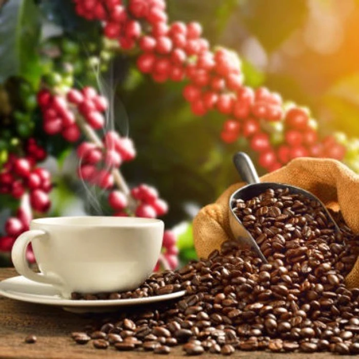 Coffee