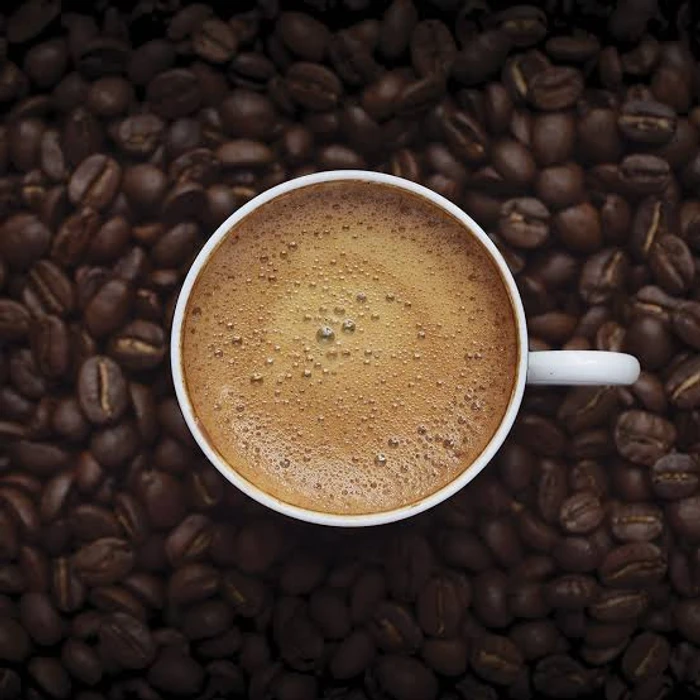 Freshly Squeezed Orange Juice