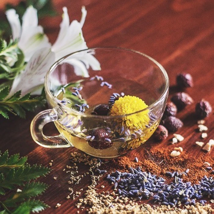 Herbal Tea's