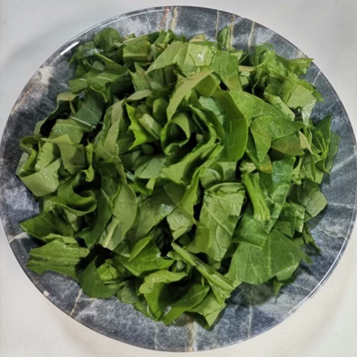 Rocket Salad