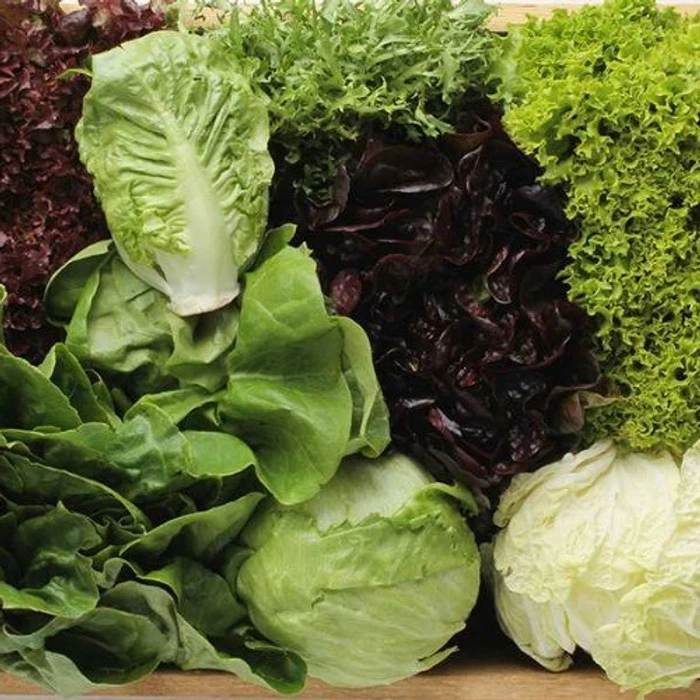 Salads