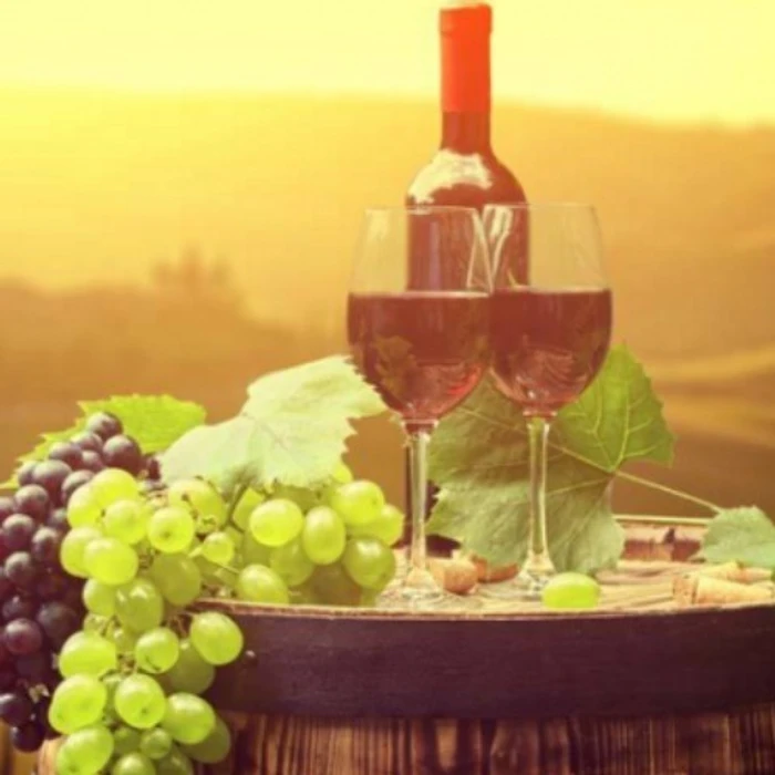World Of Vine